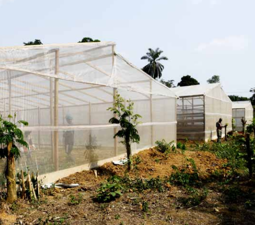 Vie Rurale Authentique